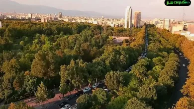 معرفی کامل بلوار کشاورز تهران به همراه تاریخچه و هتل ها ، بیمارستان ها ، کافه و جاذه های دیدنی آن