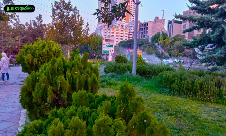نمایی زیبا از پارک شهید چشم آبدیده