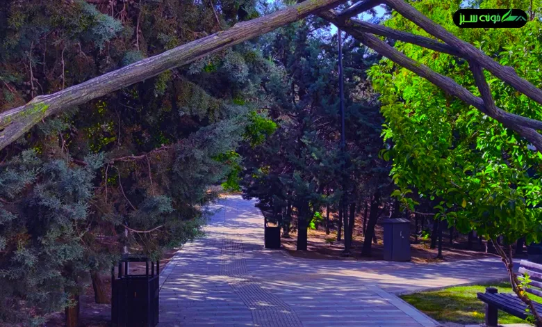 عکس پارک شورایاری شهرک غرب
