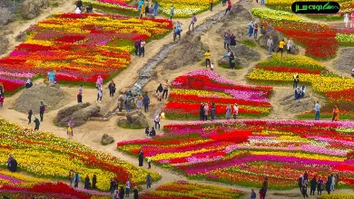 تصویری از نمای کلی روستای کندر، با طبیعت بکر و کوهستانی آن که در دل شهرستان کرج واقع شده است. این روستا با دشت‌های سبز و مناظر شگفت‌انگیز خود، یکی از مقاصد محبوب برای گردشگران طبیعت‌گرد است.