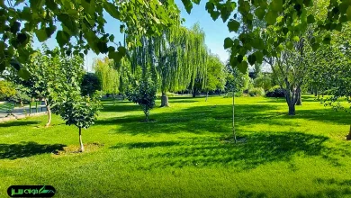 معرفی کامل پارک بهمن نازی آباد تهران با همه امکانات و آدرس دقیق